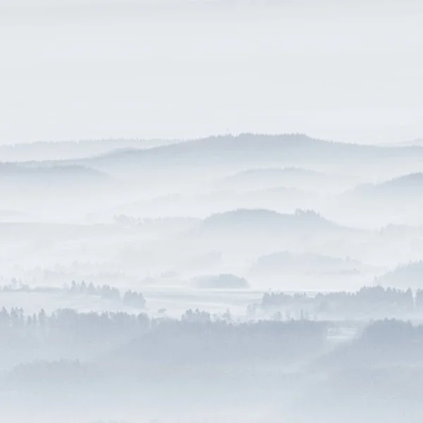 Dreamy Landscape Lost Thick Fog Fantastic Morning Glowing Gentle Sunlight — Stock Photo, Image