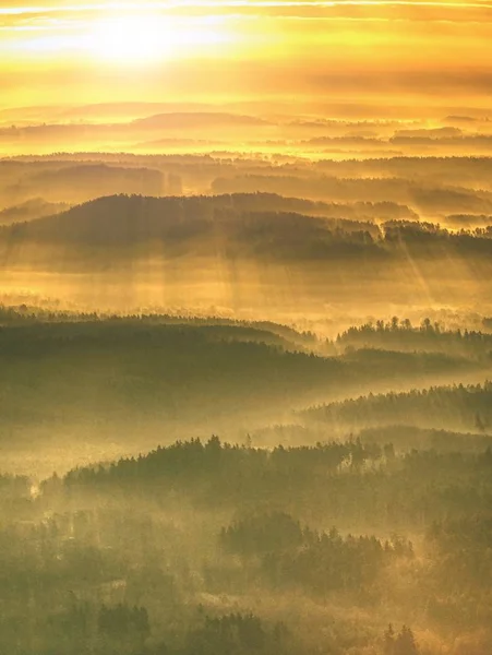 Mistige Boslandschap Ochtendzon Fantastisch Areial Uitzicht Boslandschap Bergbos Wolken — Stockfoto