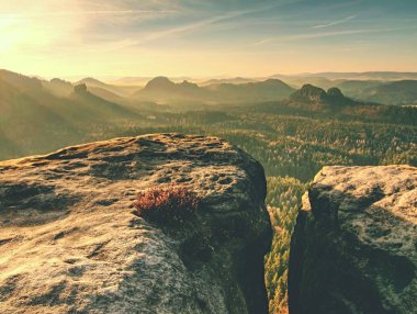 Derin puslu vadi çam ve kayın dallarına aracılığıyla daybreak içinde görüntüleyin. Kumtaşı doruklarına sisli kökenli arttı