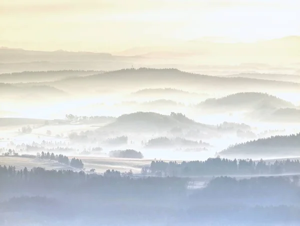 Misty Land High Trees Hill Peaks Increased Thick Fog First — Stock Photo, Image