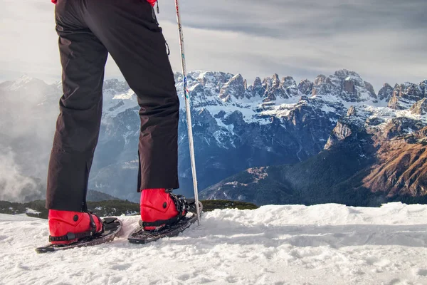 Alto Sportivo Abiti Caldi Con Racchette Neve Bastoncini Trekking Passeggiata — Foto Stock