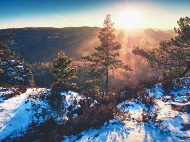 Dağlarda puslu gündoğumu renk bulutlar geçiş. Puslu sabah güzel bir Hills. Hills doruklarına sis yapışkanlık dışarı