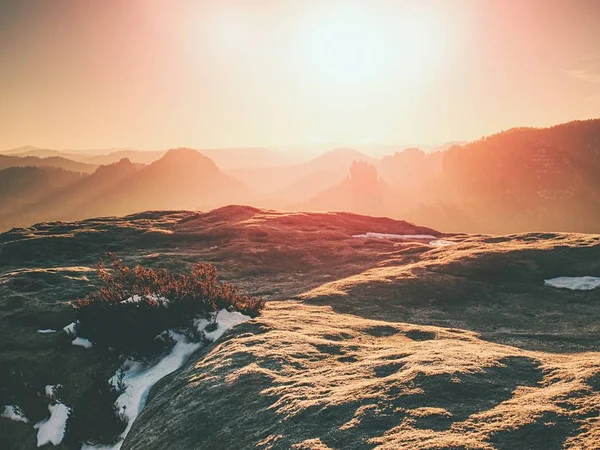 Thaw in rocks. Dreamy misty forest landscape. Majestic peaks of old trees cut lighting mist. Deep valley