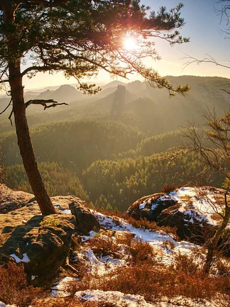 Aufenthalt Verschneiten Wald Auf Dem Berg Erste Warme Sonnenstrahlen Durchdringen — Stockfoto