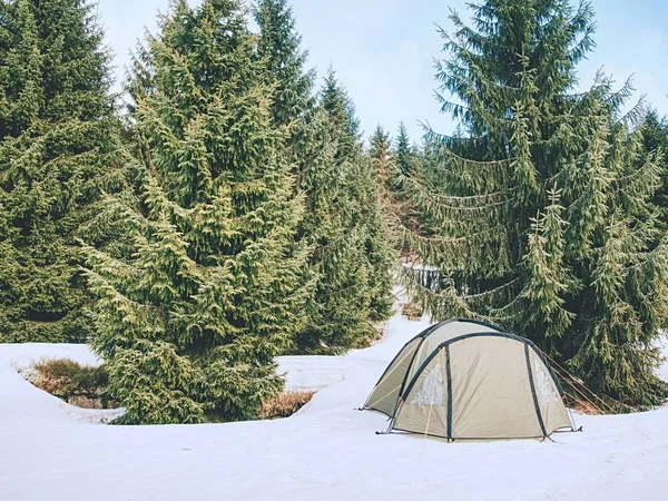 Tienda Verde Claro Condiciones Extremas Invierno Paisaje Cubierto Nieve Las — Foto de Stock