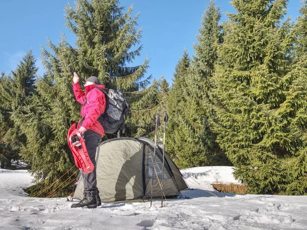 Camping in tent in winter forest. Snowshoes trek in mountains, setting a tent in snow.