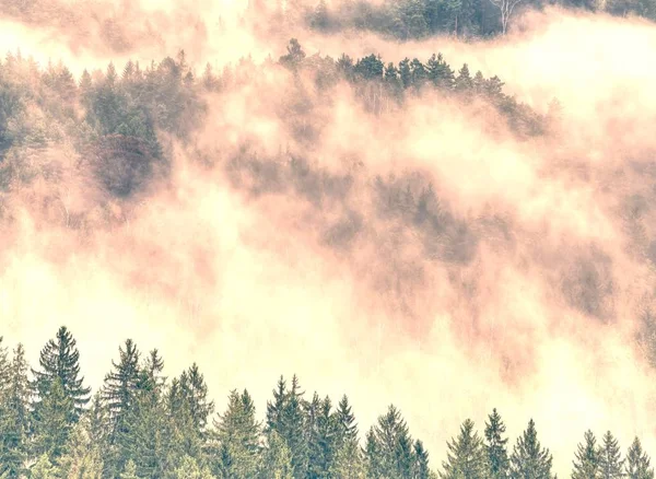 Groene Woud Berglandschap Nevel Lage Bergen Wolken Landschap Mistige Berg — Stockfoto