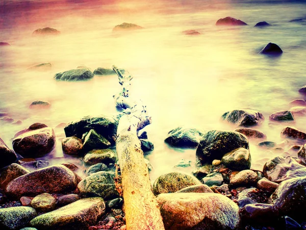 Poziomem Morza Spokojne Rano Kamieniami Spokojnej Poziomem Morza Różowy Horyzont — Zdjęcie stockowe