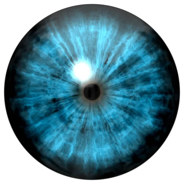 美丽的蓝眼睛 明亮的光线反射 时尚蓝眼球玻璃 — 图库照片