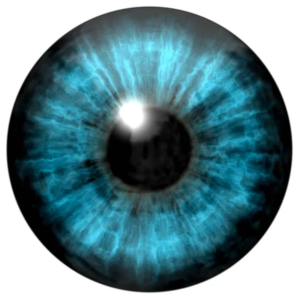 Beyaz Zemin Üzerinde Mavi Insan Gözü Logo Tasarımı Karikatür Tarzı — Stok fotoğraf