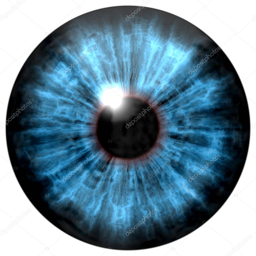 Blue human eye on a white background. Logo design, cartoon style 