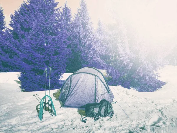 積雪下でトレッキング テントのある風景します 緑のテントと朝の光で凍った湖の表面に — ストック写真