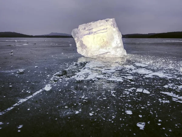 Trozo Hielo Sombras Azules Sobre Fondo Natural Oscuro Hielo Contraluz —  Fotos de Stock