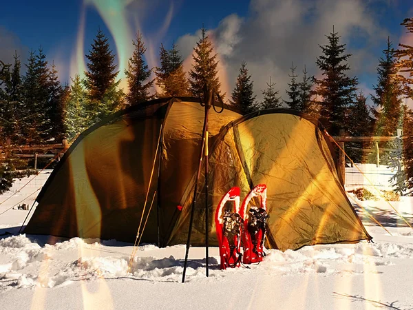 Tent in winter landscape. Trekking tent, poles, red  snowshoes on snow .   Hipster filter.
