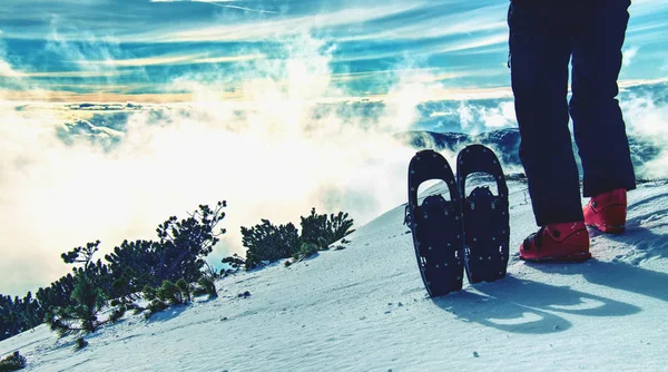 Muž Nohy Sněžnice Chodit Sněhu Zimních Horách Detail Zimní Túru — Stock fotografie