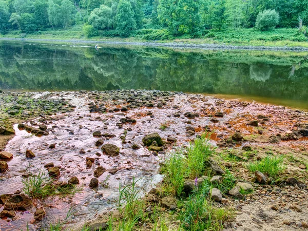 Low Water Level Empty River Inflow Muddy Horrible Smell Water — Stock Photo, Image