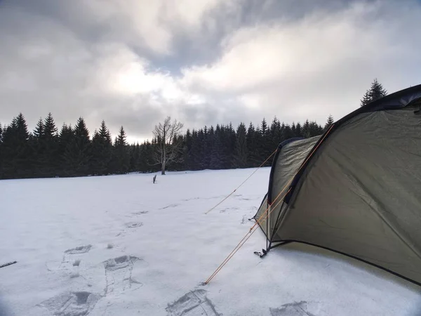 Trekking Tält Byggt Mot Det Snöiga Landskapet Vinter Skialpinism Trek — Stockfoto