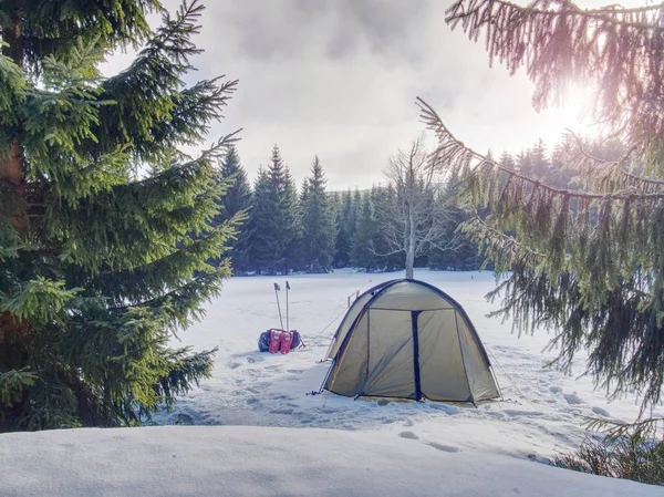 Light Tent Set Snow Winter Forest Mountains Oversleep Snowy Landscape — Stock Photo, Image