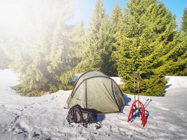 光のテント山中冬の森の雪の上を設定します 雪の風景に寝坊します — ストック写真