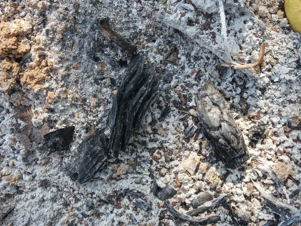 燃えかすの詳細は 白い砂で石炭を焼失しました 極度な乾燥 — ストック写真