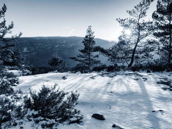 First Powder Snow Cover Sandstone Rocks Valley Park Heavy Mist — Stock Photo, Image