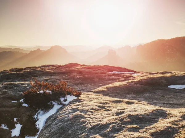 Chilly Autumnal Foggy Weather Bellow Peak Exposed Sandstone Rocks First — Stock Photo, Image