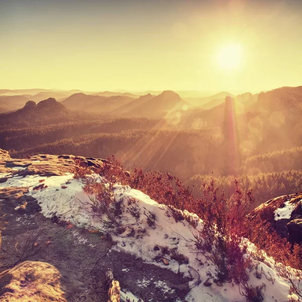 Décongeler Dans Les Rochers Paysage Forestier Brumeux Rêve Des Sommets — Photo