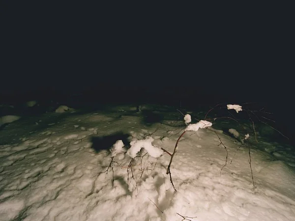 Shoes footprints in the fresh snow on the ground at night.  Spooky night winter forest