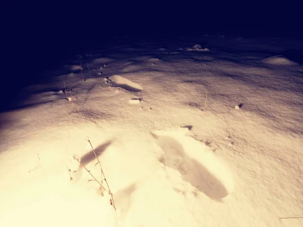 Footprints on fresh snow by night vanishing in the dark. Fear in darkness