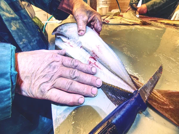 Fish farm slaughterer hands gutting cod the codfish. Man hand is filleting freshly caught fish. Dorsal cut and separation of meat from bones
