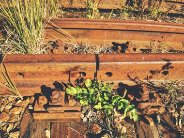 Eski moda paslı kelepçeler ve vidalar ahşap Demiryolu demiryolu görünümü Kapat izleyin.