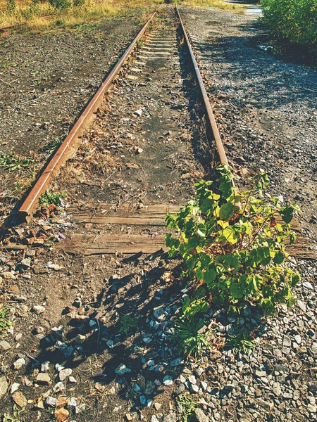 废弃火车站旧生锈的铁轨 生锈的火车铁路细节 花岗岩石之间的铁轨 — 图库照片