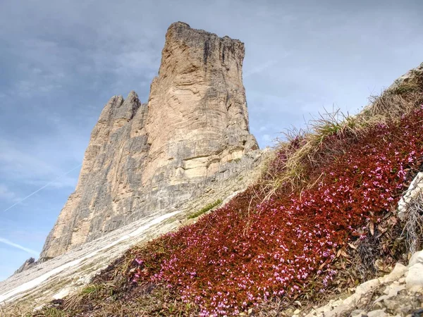 Tre Cime Lavaredo Stenar Dolomiterna Vackra Naturen Italien — Stockfoto