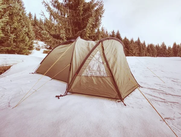 Tenda Verde Claro Condições Extremas Inverno Paisagem Coberta Neve Alto — Fotografia de Stock