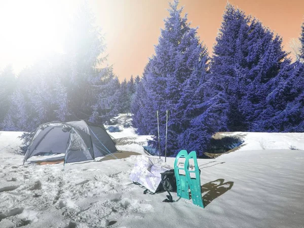 Campin Nieve Tienda Situada Lago Nevado Congelado Caminata Invierno —  Fotos de Stock