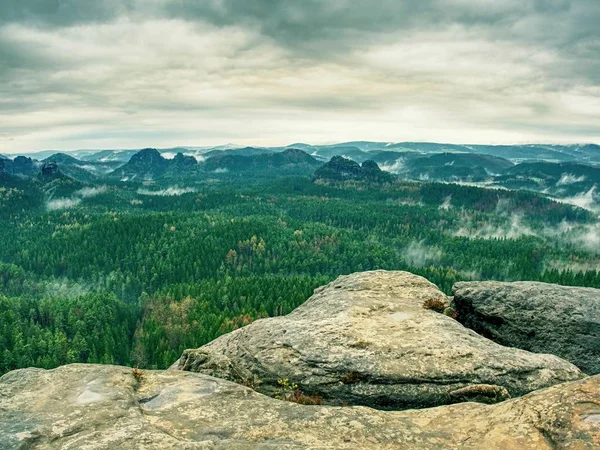 Herfst Landschap Met Mistige Bos Groene Naalden Bladeren Bij Bewolkt — Stockfoto