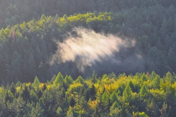 Grüne Berglandschaft Nebliger Bergwald Fantastische Waldlandschaft Bergwald Wolken Landschaft — Stockfoto