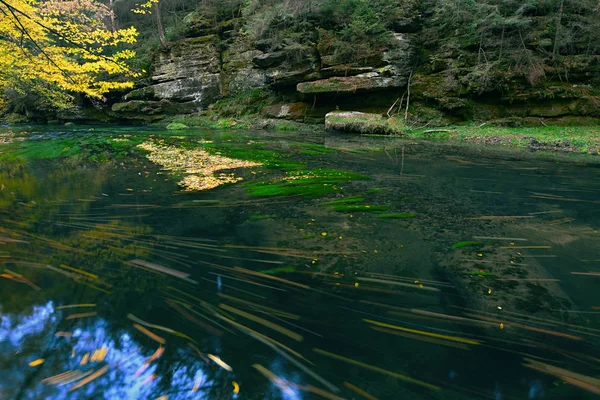 秋天森林中的瀑布五颜六色的山溪 — 图库照片