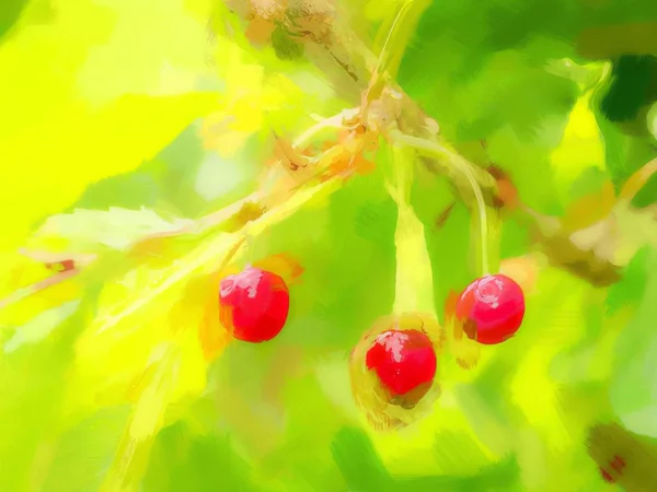 Oil painting effect. Wet fruits of red wild cherries hanging on the cherry tree ready to be picked. Cherry harvest from the wild trees in nature