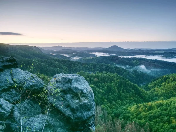 Paisaje Brumoso Verano Temprano Mañana Hermoso Paisaje Montañoso Suiza Bohemia — Foto de Stock