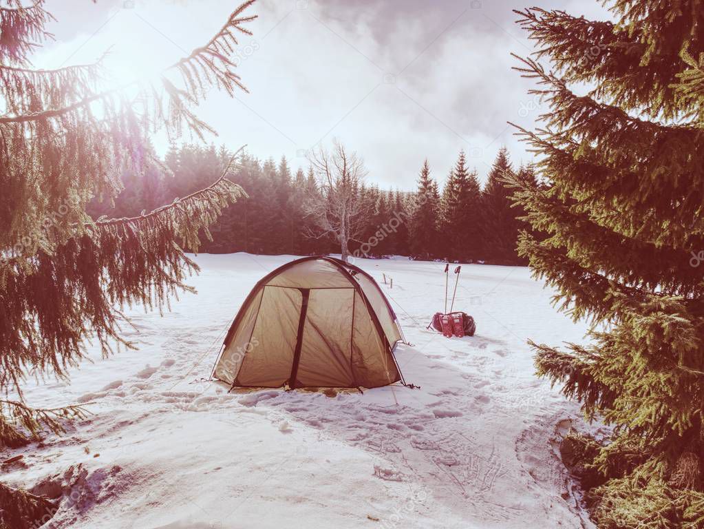 Light tent set on the snow in the winter forest in the mountains. Oversleep in snowy landscape. 