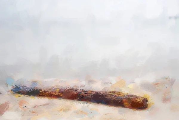 油絵効果 熱帯のビーチでサンセットの時間に死んだ木の幹 腐ったトランク — ストック写真