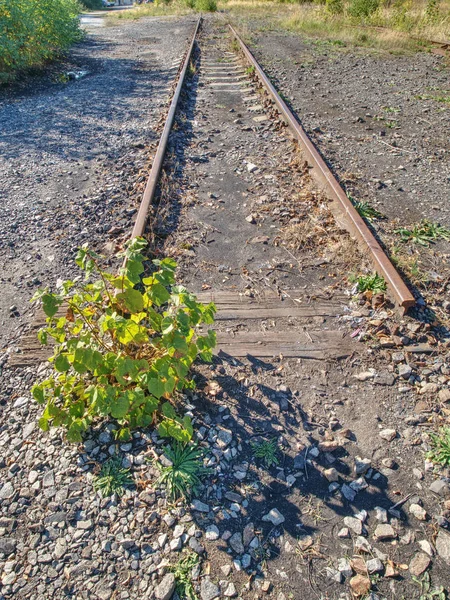 Autogen Torch Cut Rail Rod Rotten Wooden Sleeper Repair Tramway — Stock Photo, Image