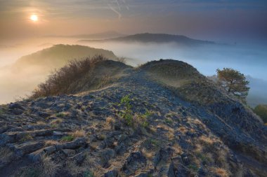 Sonbahar sabahı doğa. Sonbahar sis. Sis, ağaçlar renkli bulutların içinde büyülü sisli orman