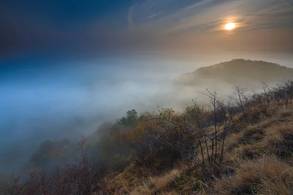 Jesienny Poranek Natury Upadek Mgła Zaczarowany Las Mglisty Mgła Drzew — Zdjęcie stockowe