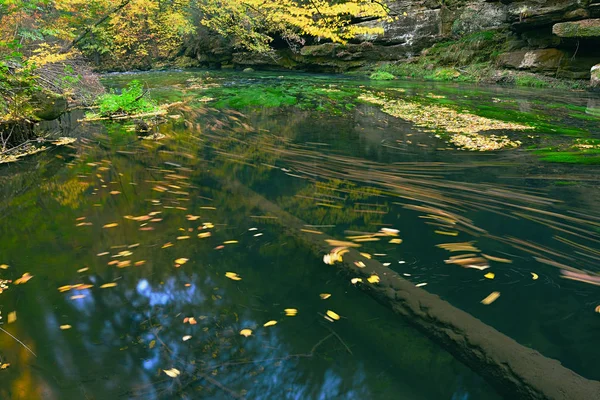 Sonbahar Bir Ormanda Küçük Nehirde Yapraklarda — Stok fotoğraf