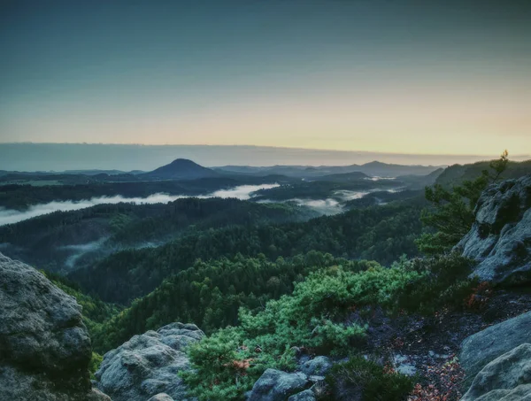 Gipfel Des Sandsteinfelsens Mit Blick Den Bunten Nebel Morgental Blauer — Stockfoto