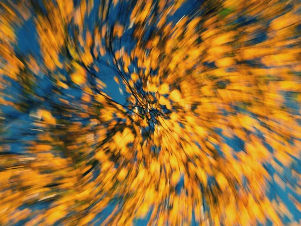 Herbst Hintergrund Defokussiert Bunte Novemberblätter Verschwimmen Blättern Wald — Stockfoto