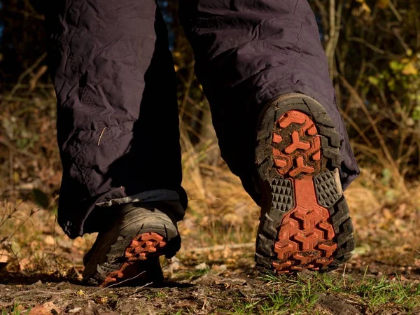 在森林小径上的徒步靴 秋天徒步旅行 在树叶和树木的背景下穿着徒步鞋散步的特写镜头 — 图库照片
