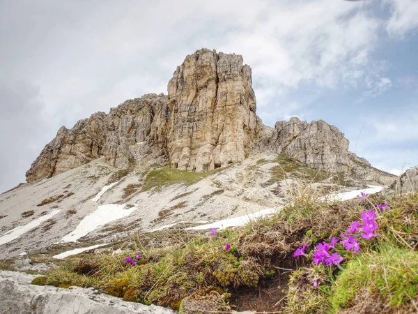 Droog Gras Heather Struiken Trekking Bergpad Besneeuwde Bergen Zware Wolken — Stockfoto